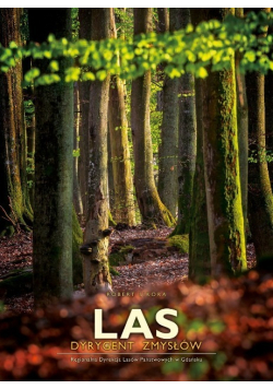 Las dyrygent zmysłów