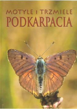 Motyle i trzmiele Podkarpacia