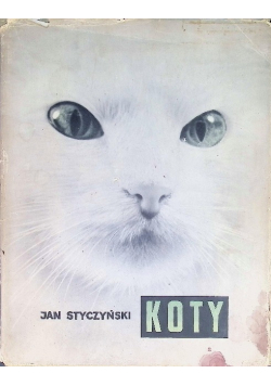 Koty