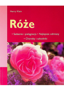 Róże