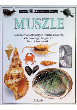 Muszle Poznaj świat