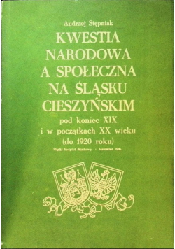Kwestia narodowa a społeczna na Śląsku Cieszyńskim pod koniec XIX i w początkach XX wieku (do 1920 roku)
