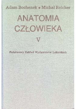 Anatomia człowieka Tom V