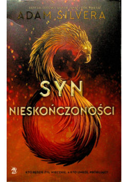 Syn nieskończoności