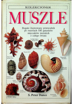 Kolekcjoner muszle