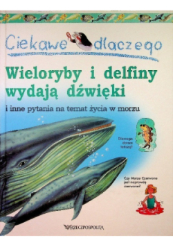Ciekawe dlaczego wieloryby i delfiny wydają dźwięki i inne pytania na temat życia w morzu