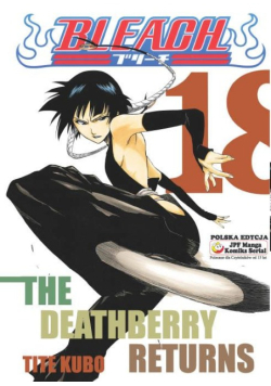 Bleach Tom 18