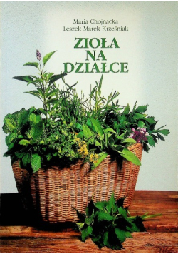 Zioła na działce