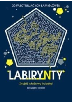 Labirynty 30 fascynujących łamigłówek