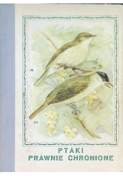 Ptaki Prawnie Chronione