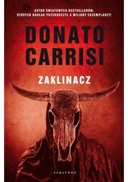 Zaklinacz