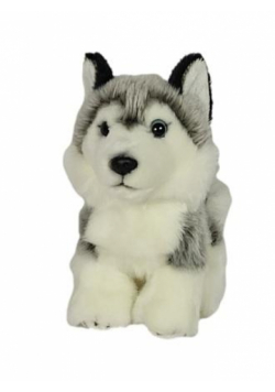Pies Husky 19cm