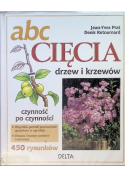 ABC cięcia drzew i krzewów