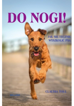 Do nogi Jak skutecznie wyszkolić psa