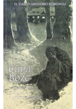 Cuda Boże w świętych duszach czyśćcowych Tom I