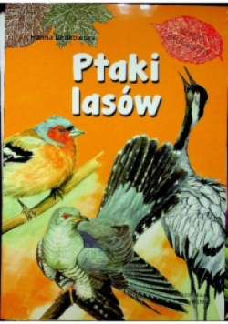 Ptaki lasów