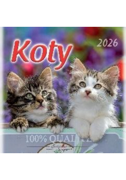Kalendarz 2026 wieloplanszowy 33x33cm Koty