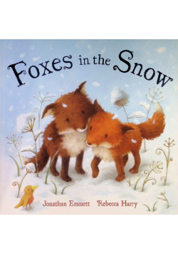 Foxes In The Snow