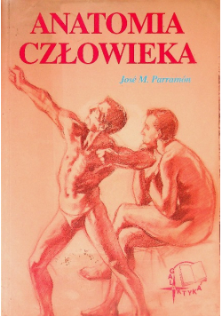 Anatomia człowieka