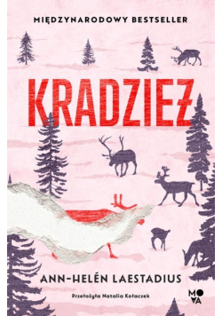 Kradzież
