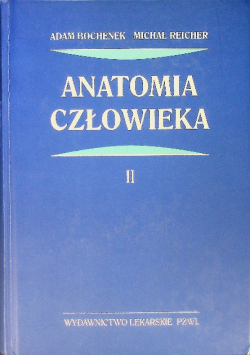 Anatomia człowieka Tom 2