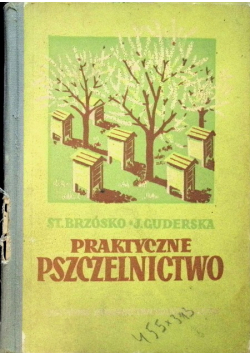Praktyczne pszczelnictwo