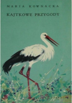 Kajtkowe przygody