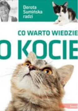 Co warto wiedzieć o kocie