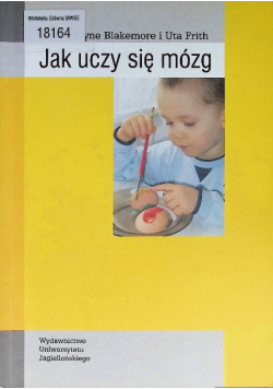 Jak uczy się mózg