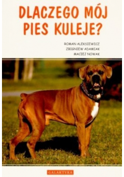 Dlaczego mój pies kuleje