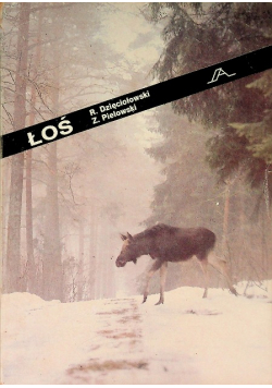 Łoś