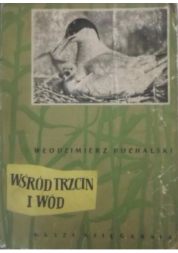 Wśród trzcin i wód