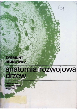 Anatomia rozwojowa drzew