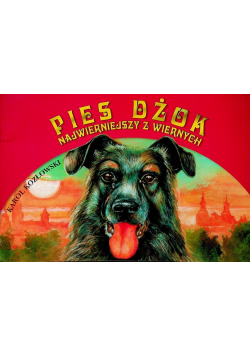 Pies Dżok Najwierniejszy z wiernych