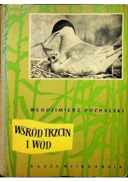 Wśród trzcin i wód