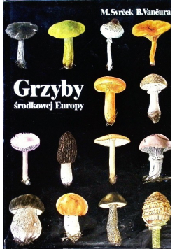 Grzyby środkowej Europy