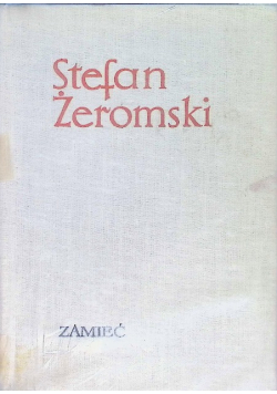 Zamieć