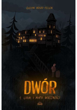 Dwór Tom 1 Liam i mapa wieczności