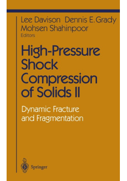 High-Pressure Shock Compression of Solids II dynamic fracture and fragmentation