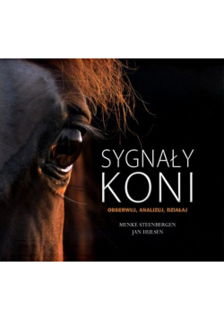 Sygnały koni