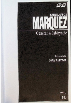 Generał w labiryncie