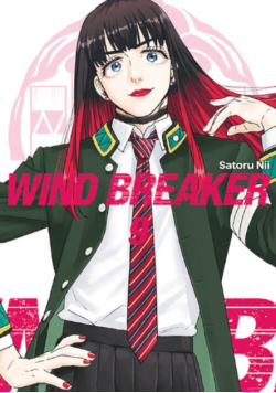 Wind Breaker Tom 9