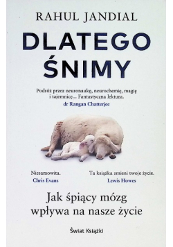 Dlatego śnimy jak śpiący mózg wpływa na nasze życie