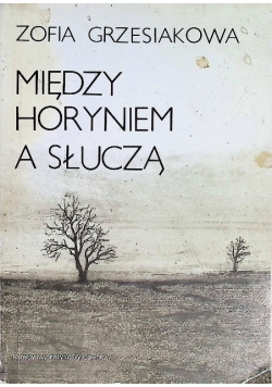 Między Horyniem a Słuczą