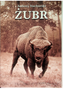 Żubr