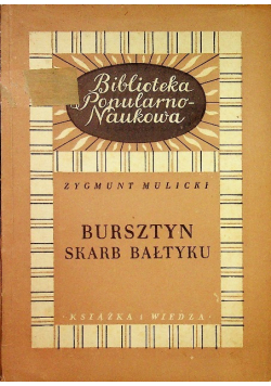 Bursztyn Skarb Bałtyku
