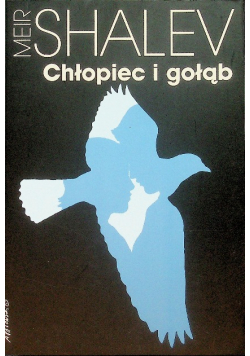 Chłopiec i gołąb