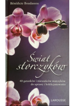 Świat storczyków