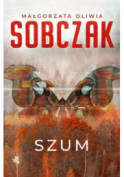 Granice ryzyka Szum