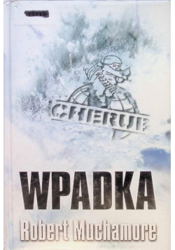 Wpadka